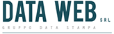Logo Dataweb